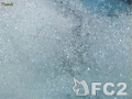 アダルト動画：海外　ウォータースライダーでポロリ　器用に上下にはみ出してます