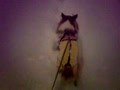 動画:雪2